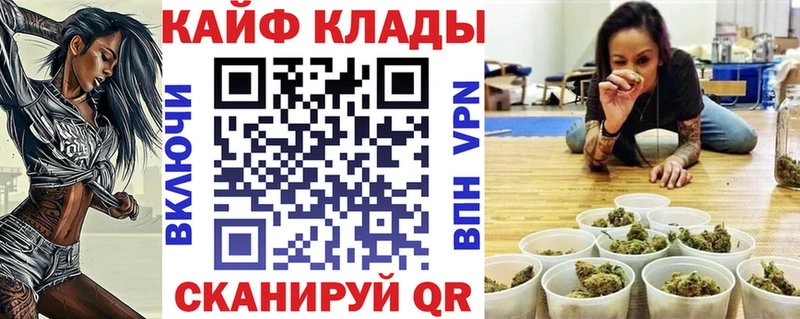 Где купить наркотики Майкоп Каннабис  Cocaine  Псилоцибиновые грибы  ГАШИШ  Alpha-PVP 