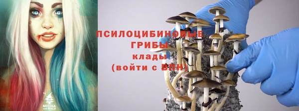 мет Дмитриев