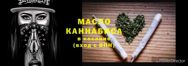 мет Дмитриев
