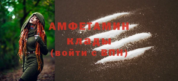 мет Дмитриев