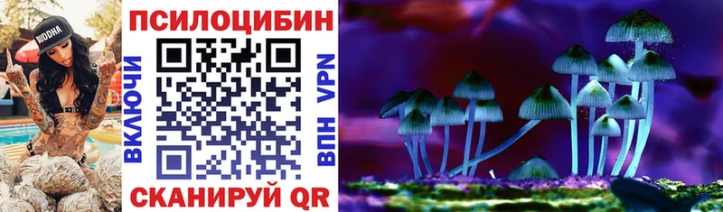 гидра как зайти  Майкоп  Галлюциногенные грибы Cubensis  закладка 